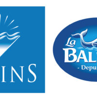 Logo Salins