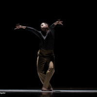 subs danse hybride