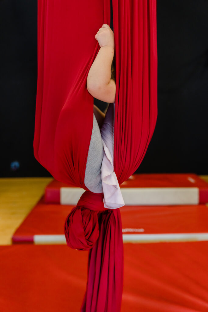 Fais ton cirque