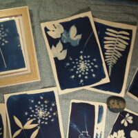 Atelier Cyanotype
