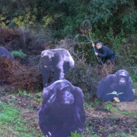 Prelude to Violence_Ghida Hachicho_pic4